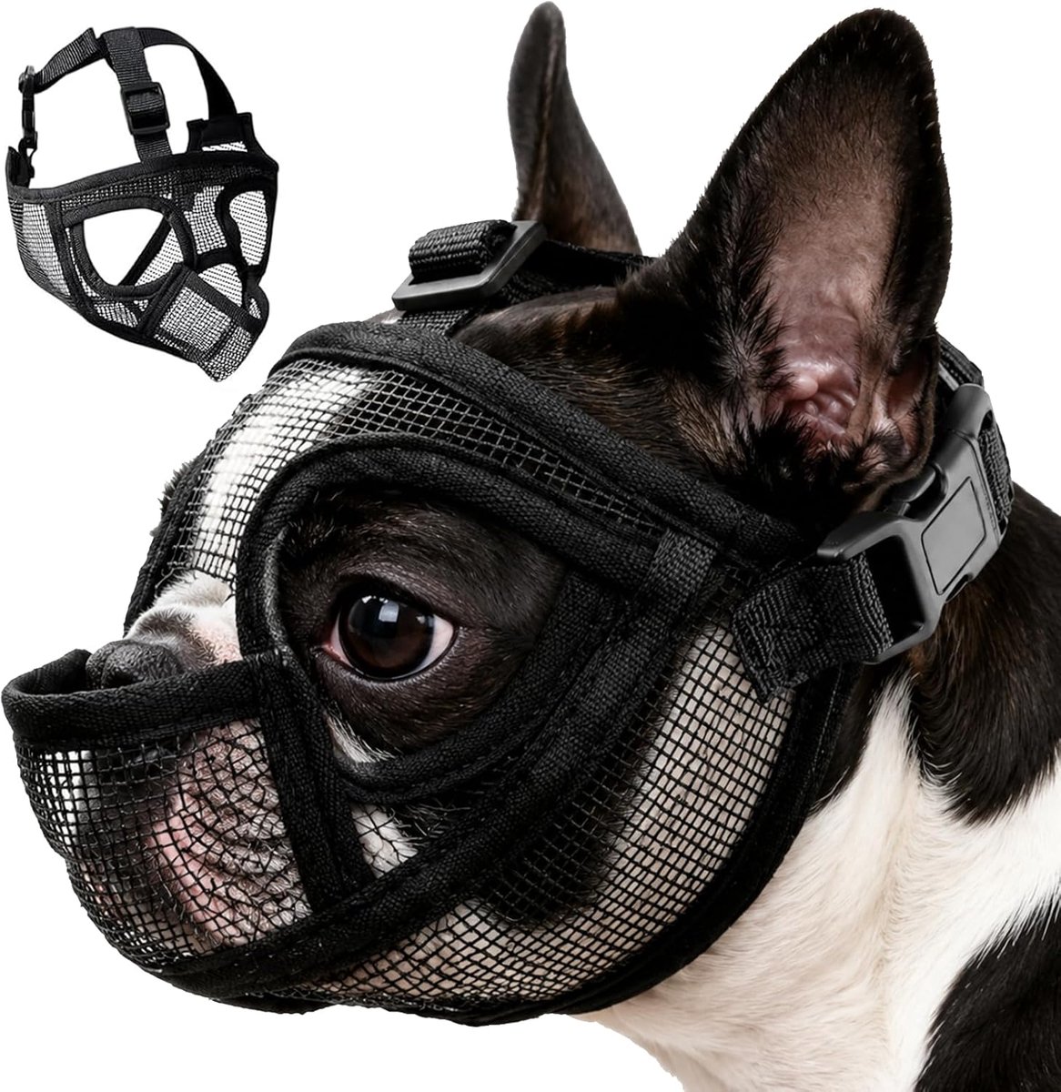 Muilkorf voor Franse bulldog en mopshond, professionele bescherming tegen gifaas en bijtbescherming, ademend mesh-design, verstelbare pasvorm voor korte neuzen (M)