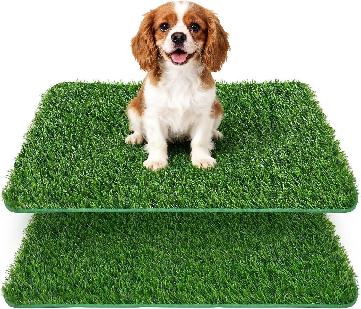 Honden Toilet voor Thuis, 2 Stuks, Ideaal voor Puppy Training en Binnengebruik, 23 x 46 cm