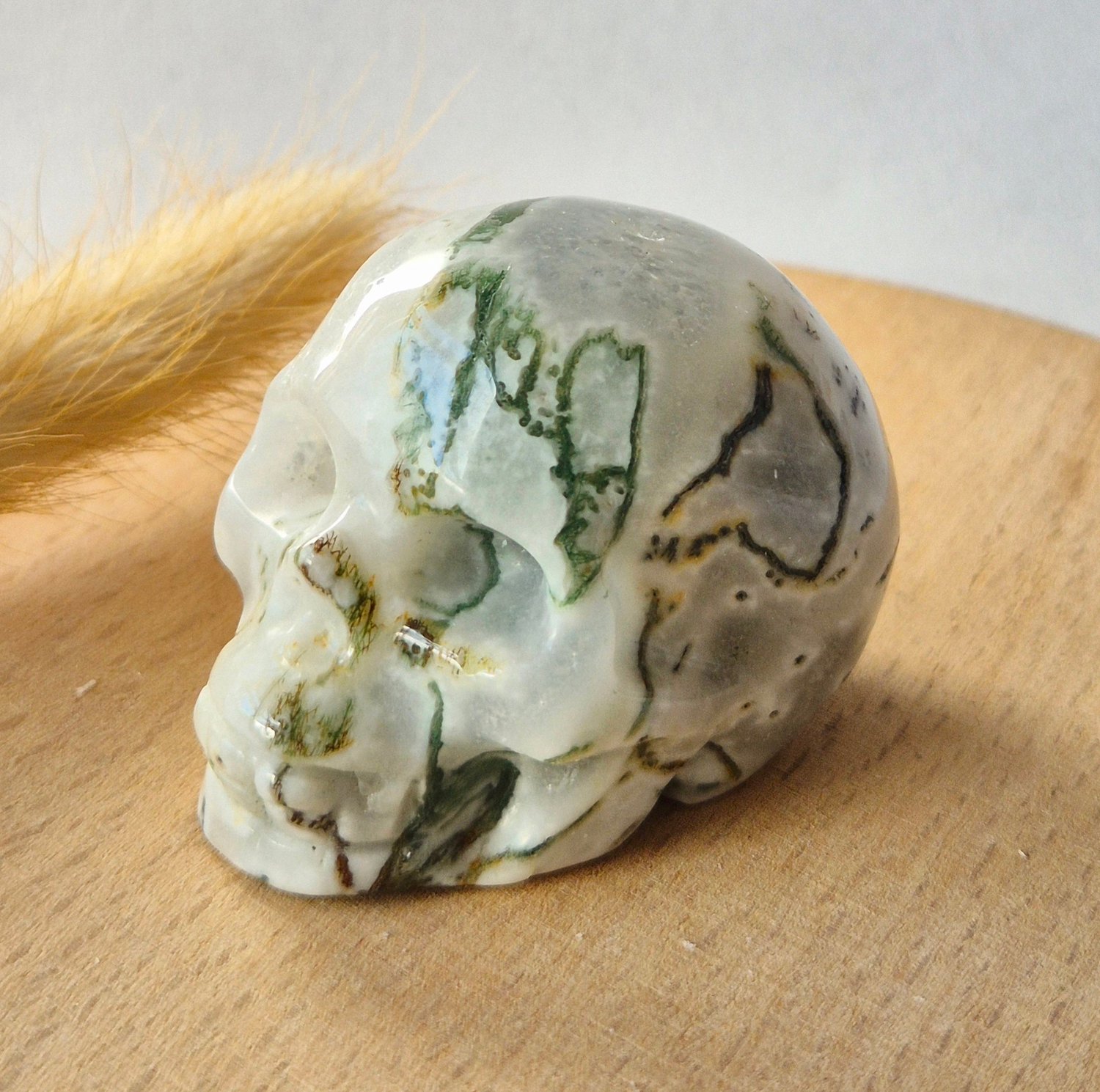 Moonlight Gemstones Mosagaat Skull Carving #10 | 5–6 cm Geslepen Edelsteen Meerkleurig