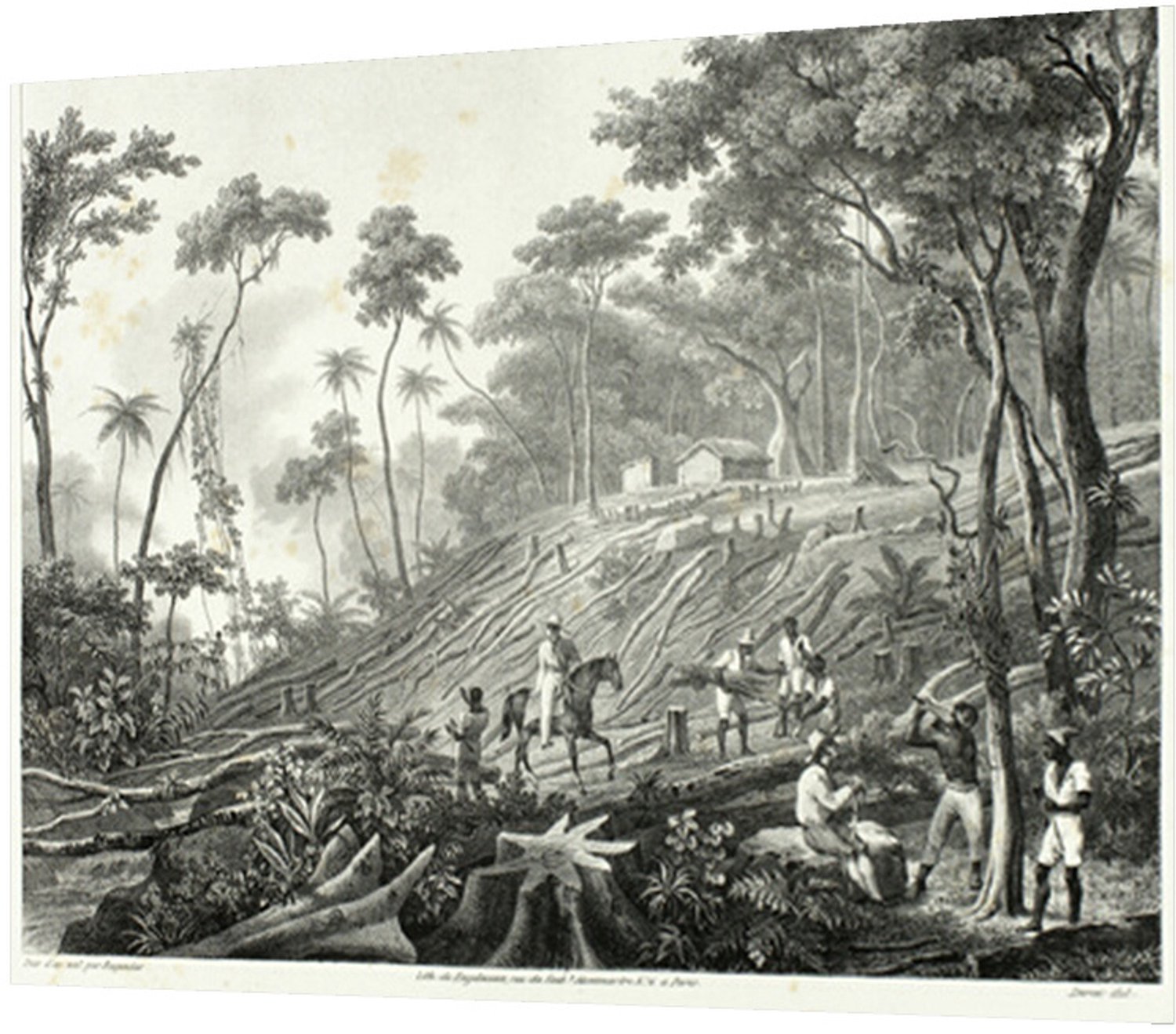 Printen.eu Poster - Clearing the Forest, plate 6 from Customs and traditions of Negroes, volume 4 of Voyage pittoresque dans le Brésil - 24.2 x 18.5 cm Multicolor