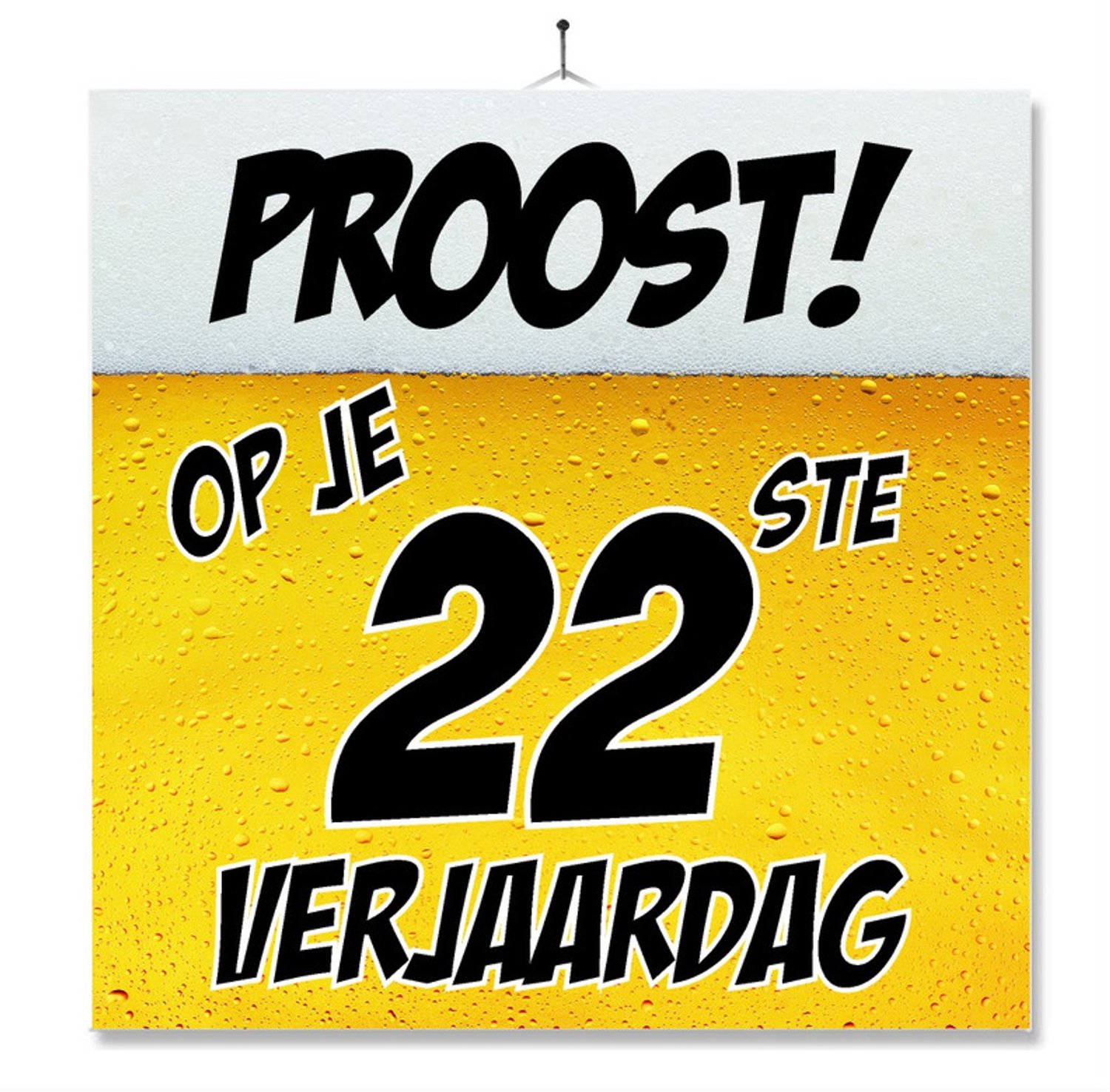 MC Living Tegel Met Opdruk | Grappig | Humor | Verjaardag kado | Proost op je 22ste verjaardag Multi-Color