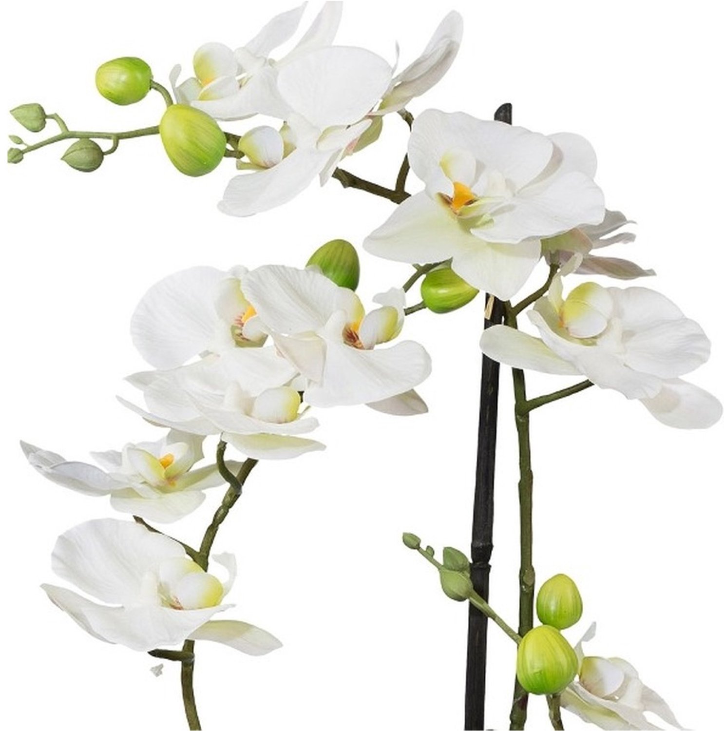 Gasper Kunstorchidee Phalaenopsis in keramische pot - 3D-print, Real Touch