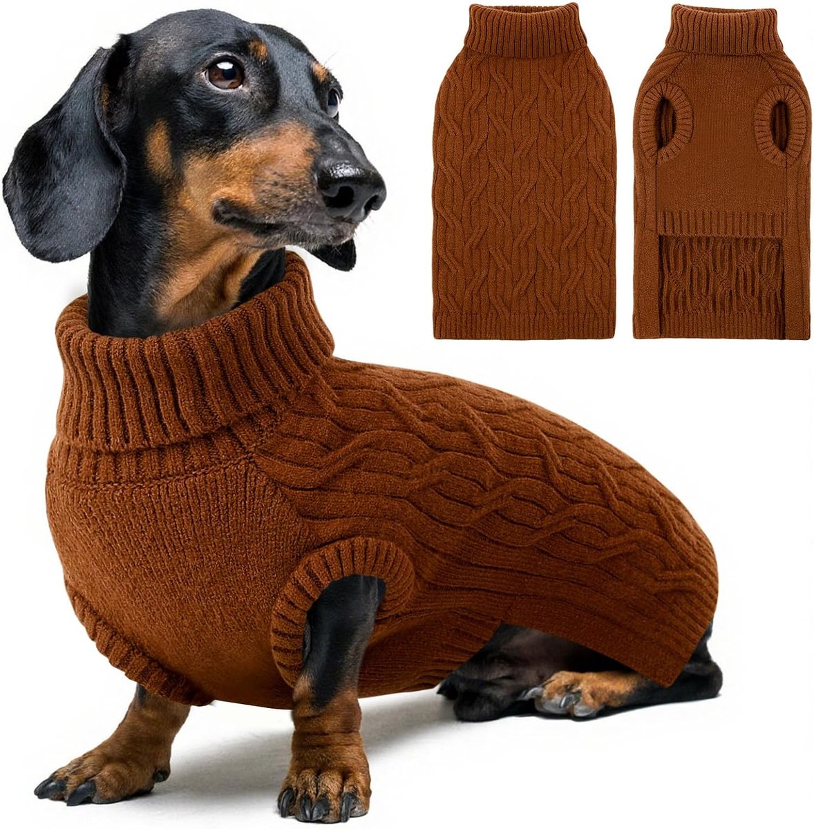 Hondentrui, kleine honden, rolkraag, hondentrui, indoor