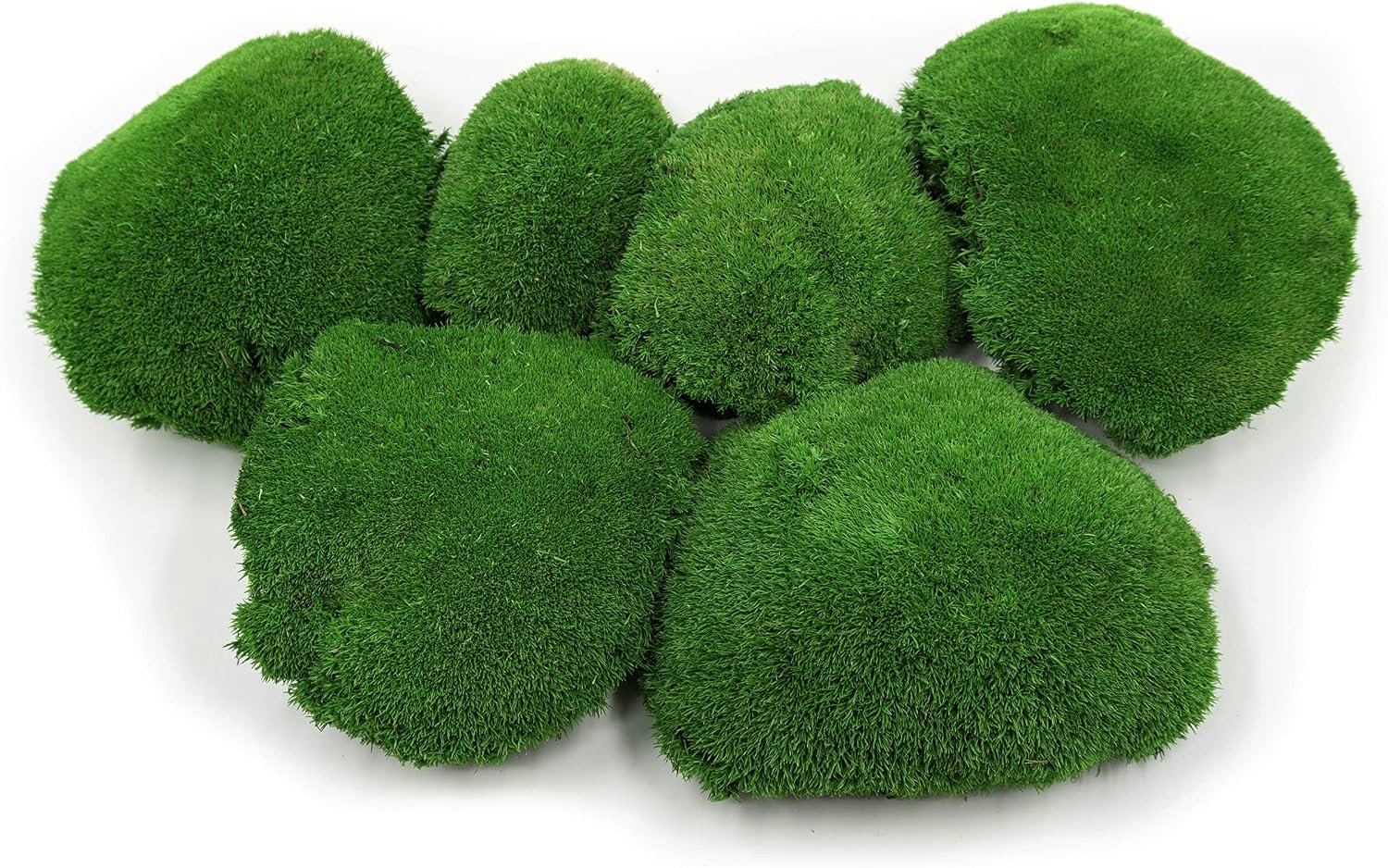 Balenmos, geconserveerd in 3 verschillende kleuren, echt duurzaam natuurproduct om mosbeeld te knutselen, dekt 30x30cm oppervlak - 0,10m² (middengroen)