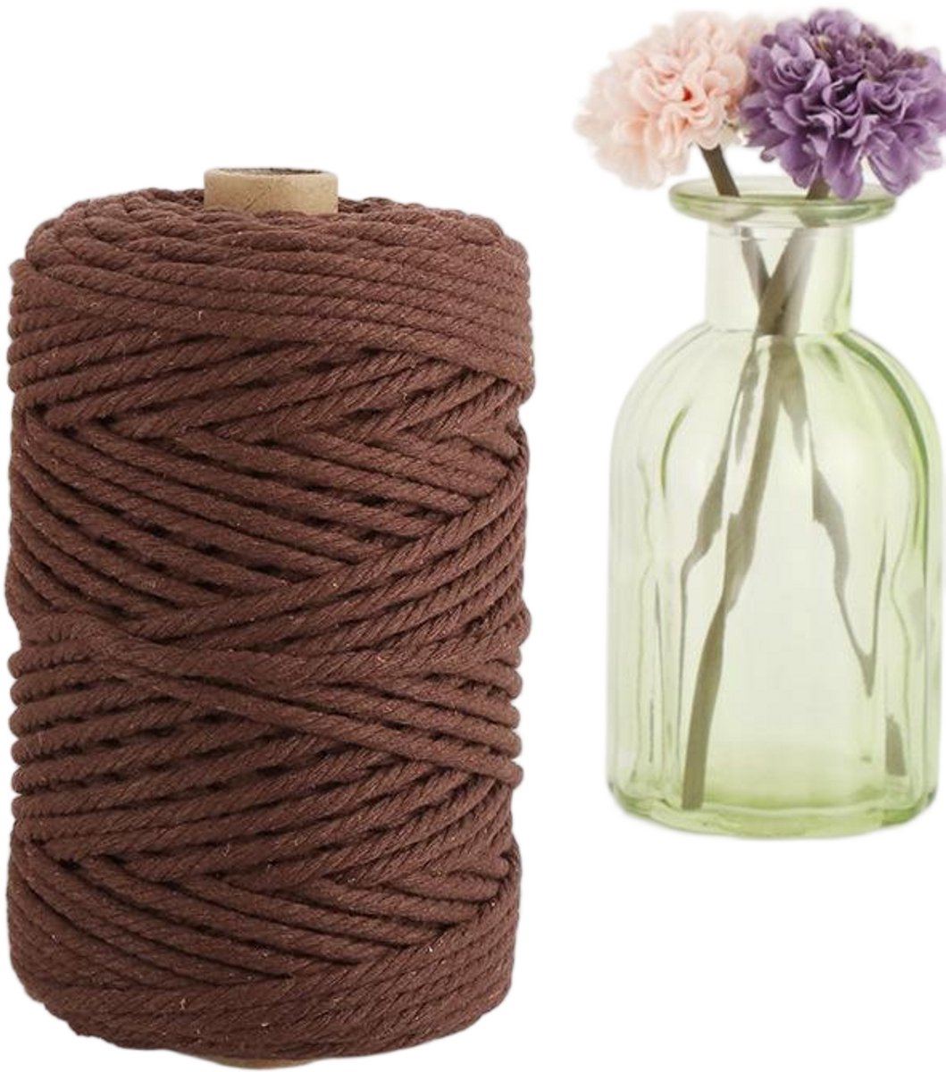 Macramétouw 3 mm x 100 m, natuurlijk katoenen draad voor wanddecoratie, plantenhangers, boho-decoratie,koffiebruin