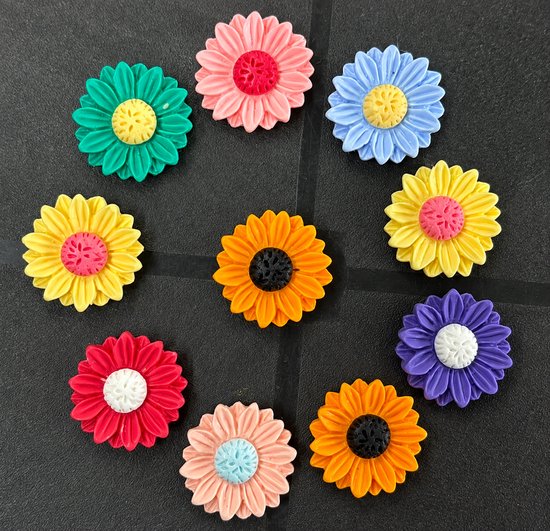 Tien kleurrijke bloemvormige magneten in een cirkel: groen, roze, blauw, geel, oranje, paars en rood.