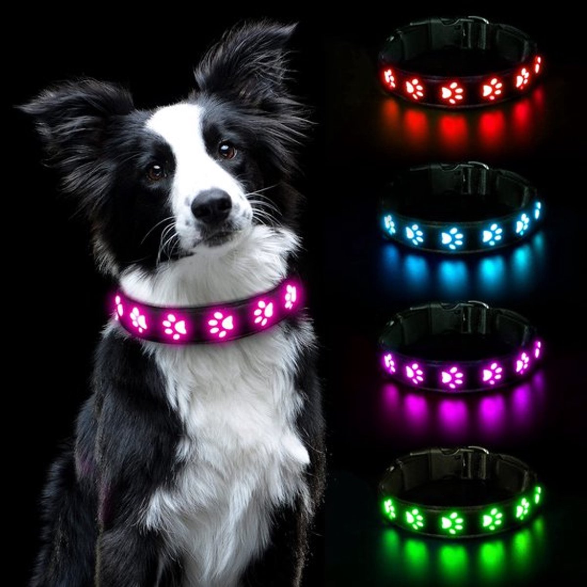 Aladdien - Lichtgevende Halsband - LED-Halsband - Veiligheidshalsband - Roze