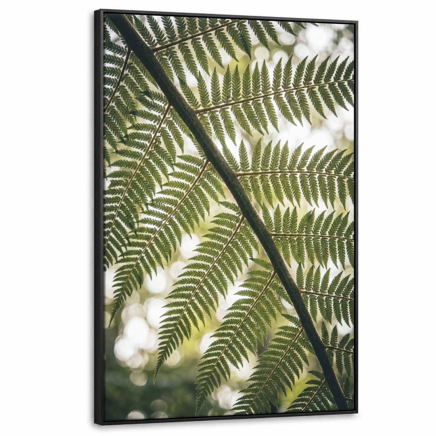 Canvas Schilderij met Baklijst - Plant - Blad - Natuur - Groen - Detail
