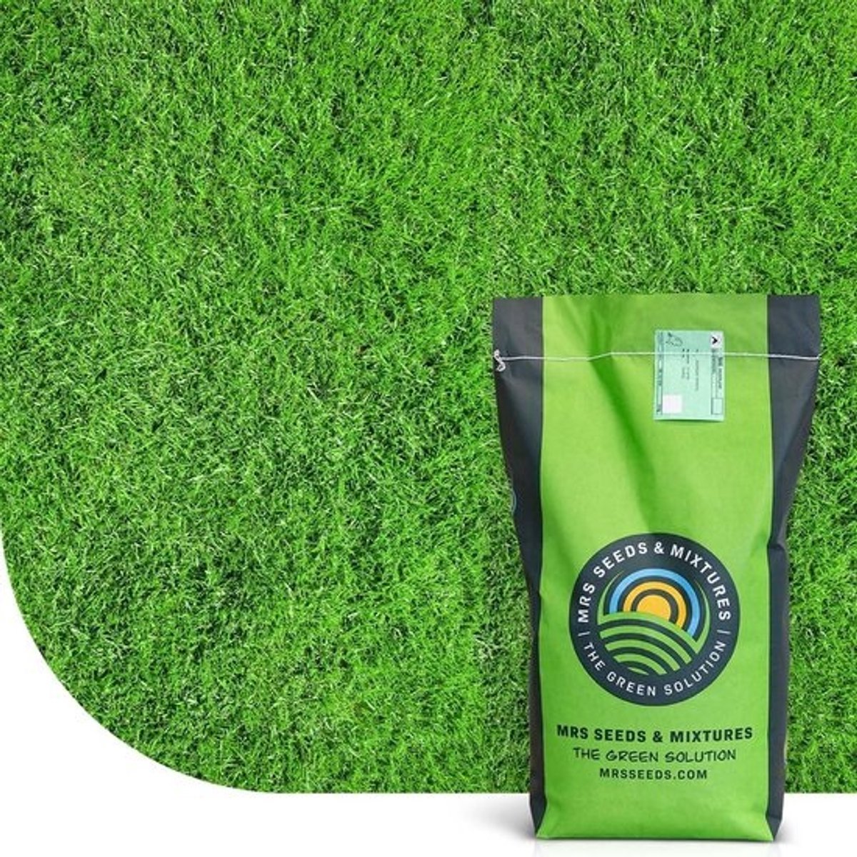 Sportveldgraszaad - Snelkiemend mengsel - Voor intensief gebruik - Helpt onkruid tegen te gaan - 5 kg - Voor 300 m²