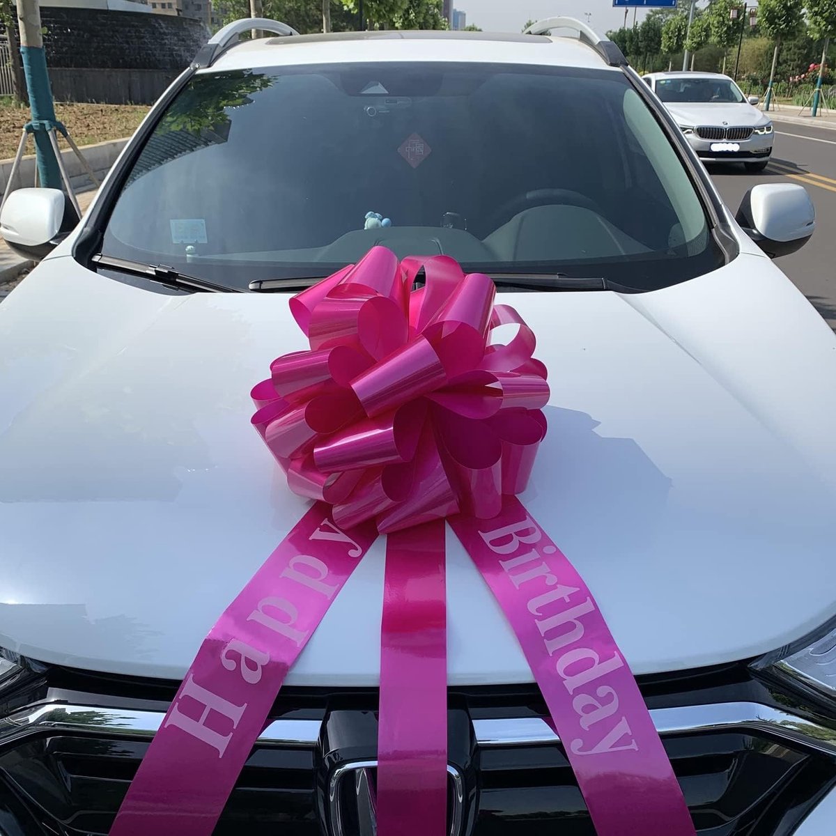 Grote Cadeaustrik - Roze - XXL 45 cm - Waterdicht en Duurzaam - Voor Feesten en Decoraties