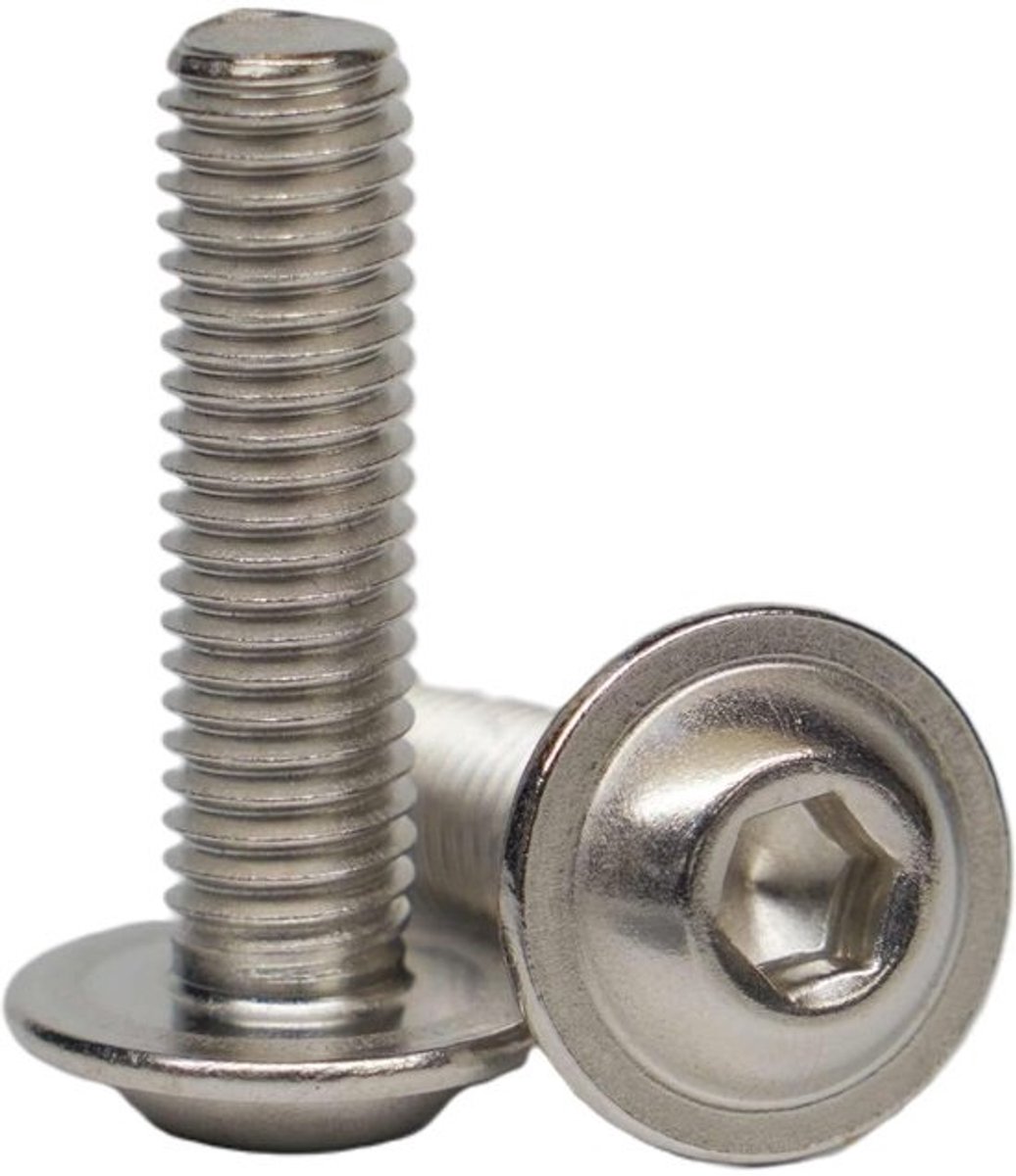 Lenskopschroeven - Binnenzeskantschroeven - Voor machinebevestiging - Roestvrij staal A2 - M6 x 40 mm - Zilverkleurig