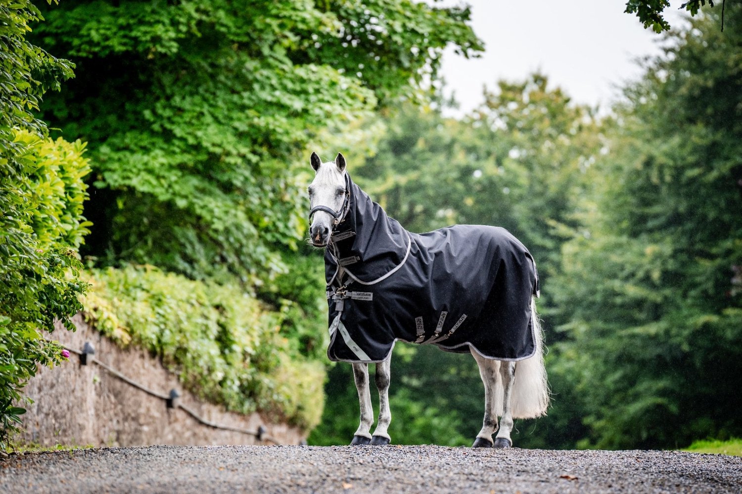 Amigo 1200D Plus Turnout Bundel van Horseware in Zwart, Titanium – productfoto