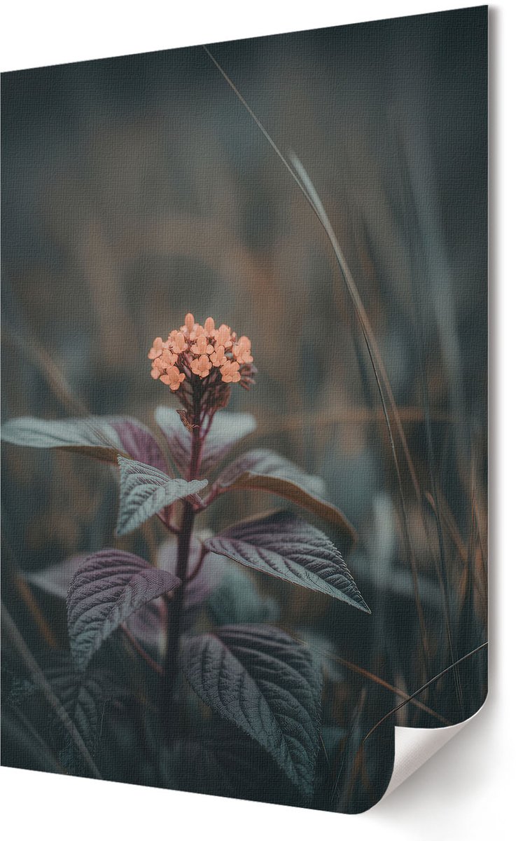 Coloray Polycanvas Wandposter - Bosvuur, Fotografie - A3 - Bruin Wanddecoratie - Rechthoek - Wandkunstwerk - Woonkamer, Slaapkamer, Kantoor - Rustiek