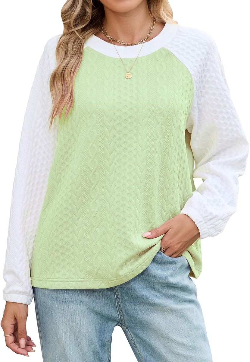 Tops met lange mouwen voor dames, dunne trui, casual sweatshirt met ronde hals, kleurblok, herfst, trendy outfits, los T-shirt