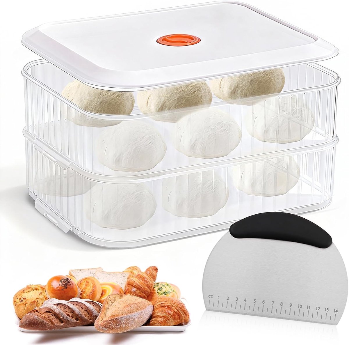 2 dozen pizzaballenbox met deksel, 31 x 23 x 9 cm, gistbox, pizzadeegbox met roestvrijstalen deegkaart en datumregistratie, pizzabox deegbox voor pizzaballen of andere deegsoorten