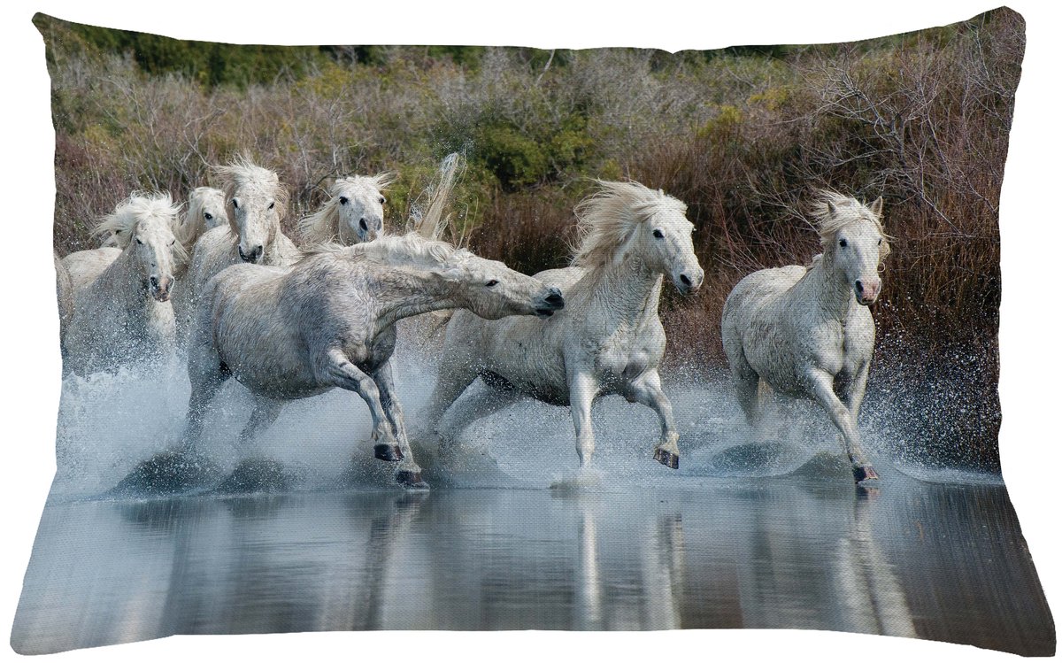 ABAKUHAUS Horses Sierkussenhoes, Group van Carmargue Horses Running Through Water Meer River Honor Reverence, Decoratieve Rechthoekige Sierkussenhoes, 65 x 40 cm, Wit Groen