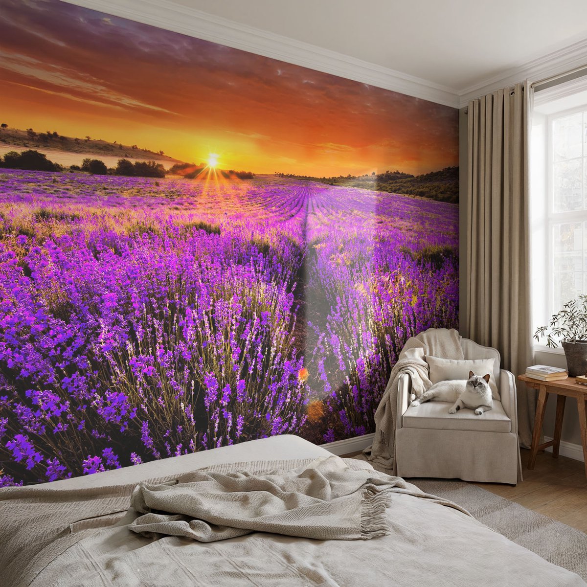 Coloray Vliesbehang - Paars Snellijm Behang - 104x70 cm - Lavendelzonsondergang Fotobehang Vlies - Woonkamer behang Landschappen - Muurschildering - Woonkamer behang