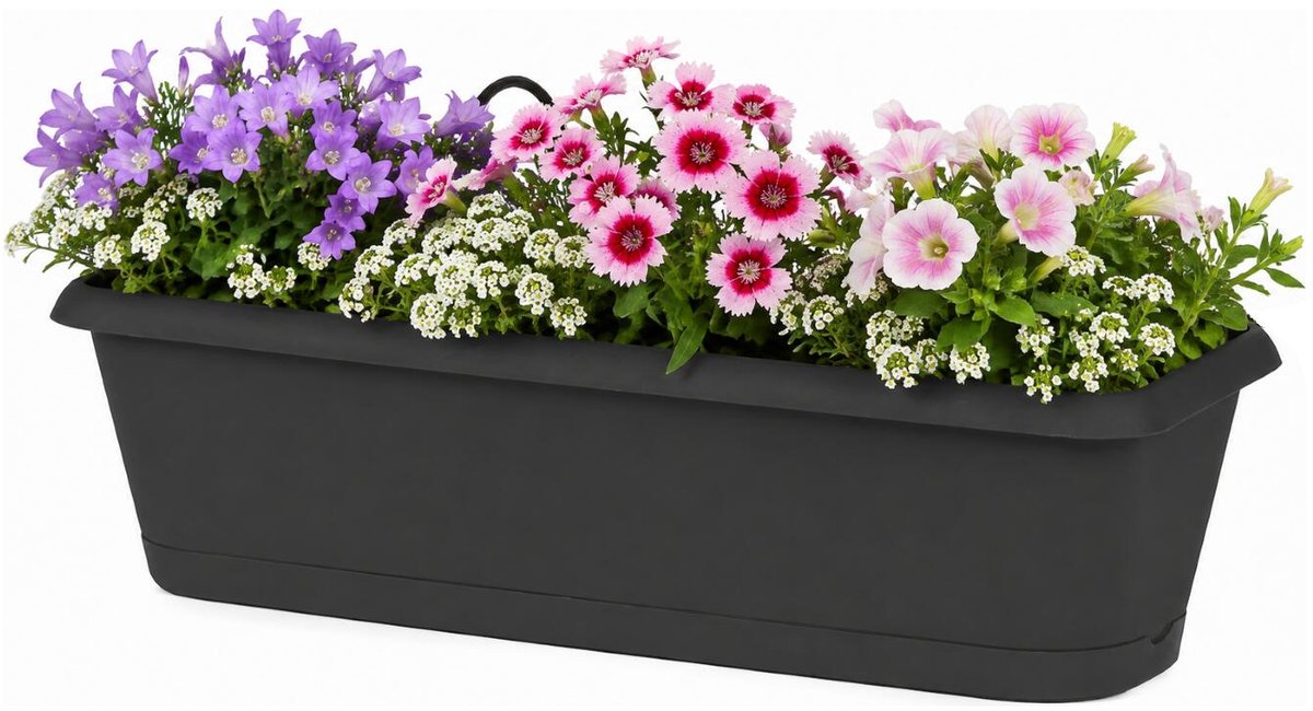 EDA Chorus balkon bloempot / plantenbak - kunststof - antraciet - 49 x 19 x 16 cm - met ophangbeugels