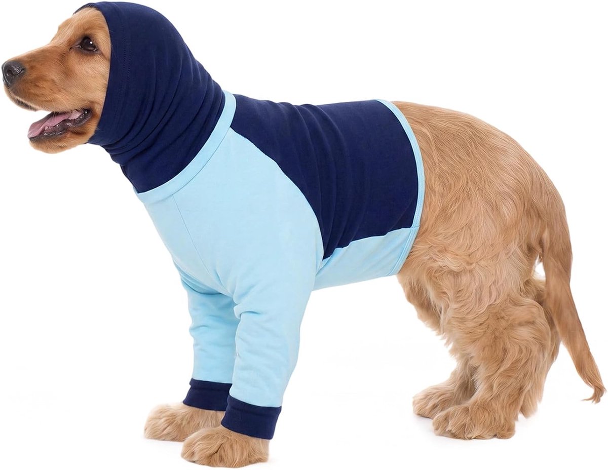 hond met nek- en voorbeenbescherming, lekbescherming shirt