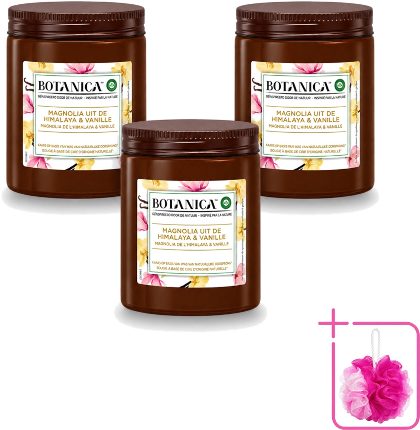 Air Wick 3 x Botanica by Air Wick - Geurkaars - Vanille & Magnolia - 40 Uur Brandduur - Bulkverpakking - Geurkaars - Douchemop - Vanille en magnolia Bruin