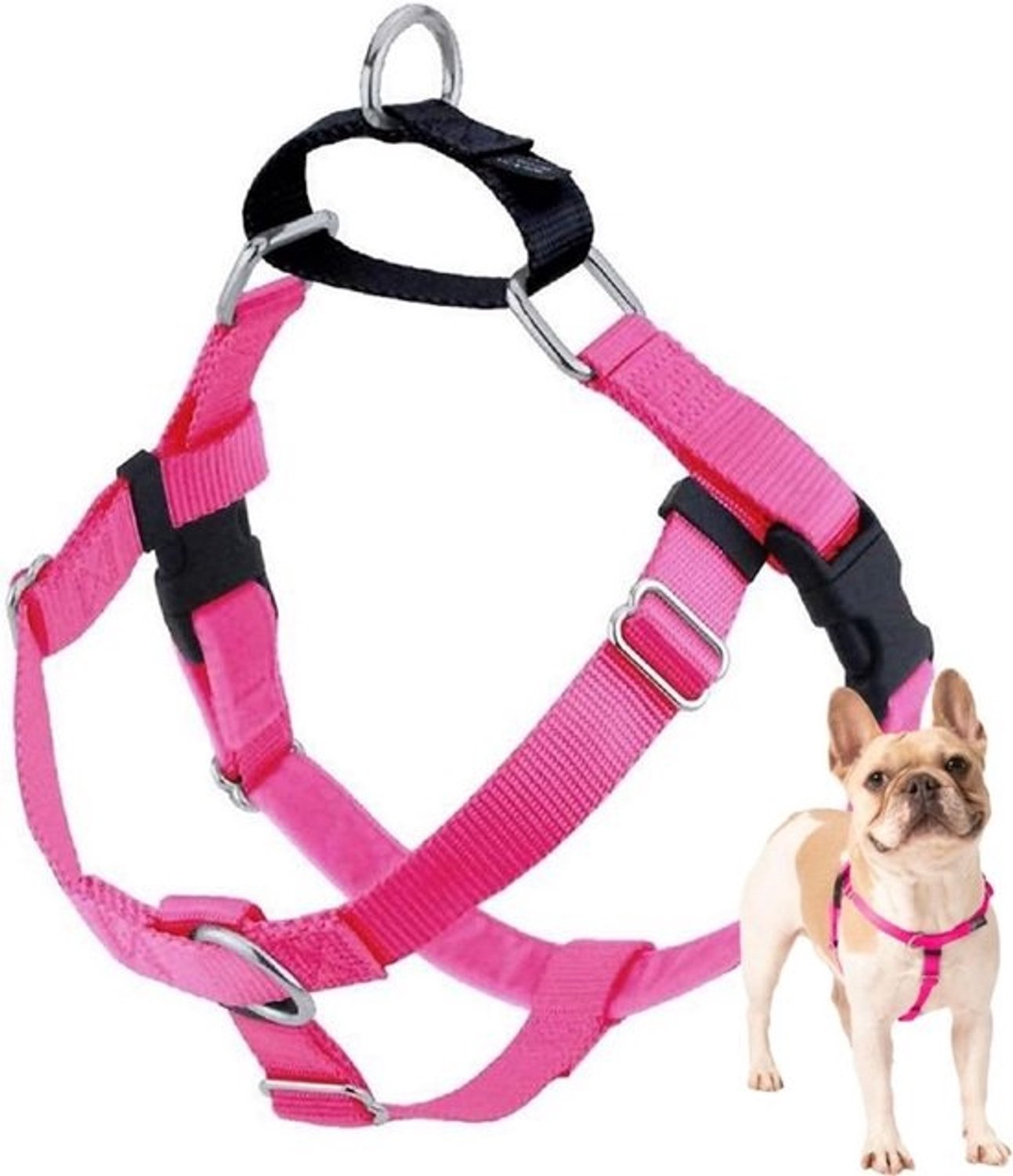 Honden Harnas - Anti Trek Tuigje - Wandelen met Hond - Niet Trekken Ontwerp - 5/8 Inch - Blauw
