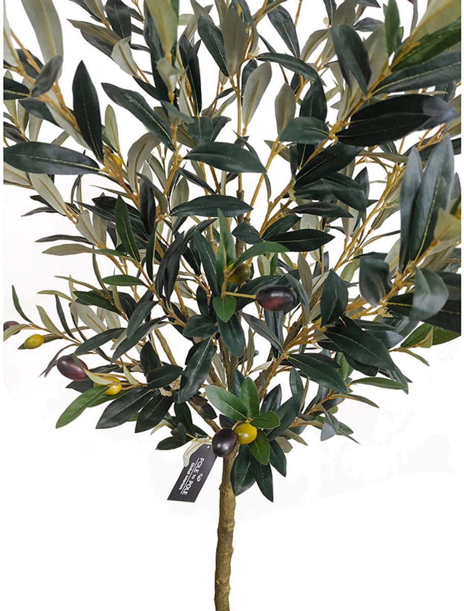 Olijfboom 150cm