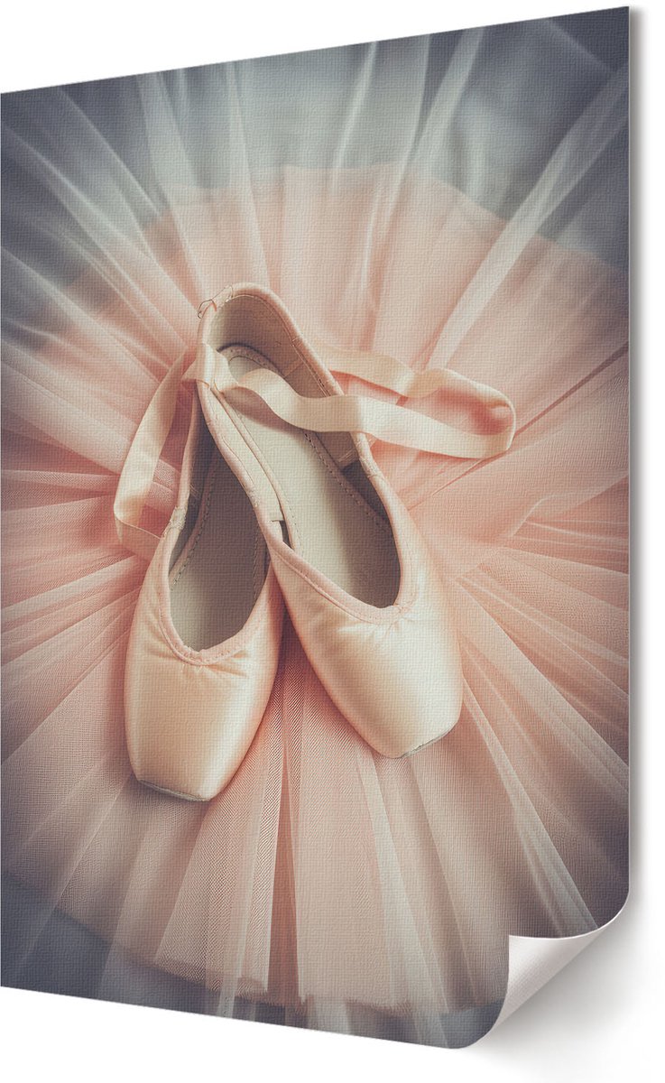 Coloray Polycanvas Poster - Balletschoenen Om Te Dansen, Fotografie - 594 x 840 - Roze Wanddecoratie - Rechthoek - Kunstposter - Slaapkamer - Romantisch