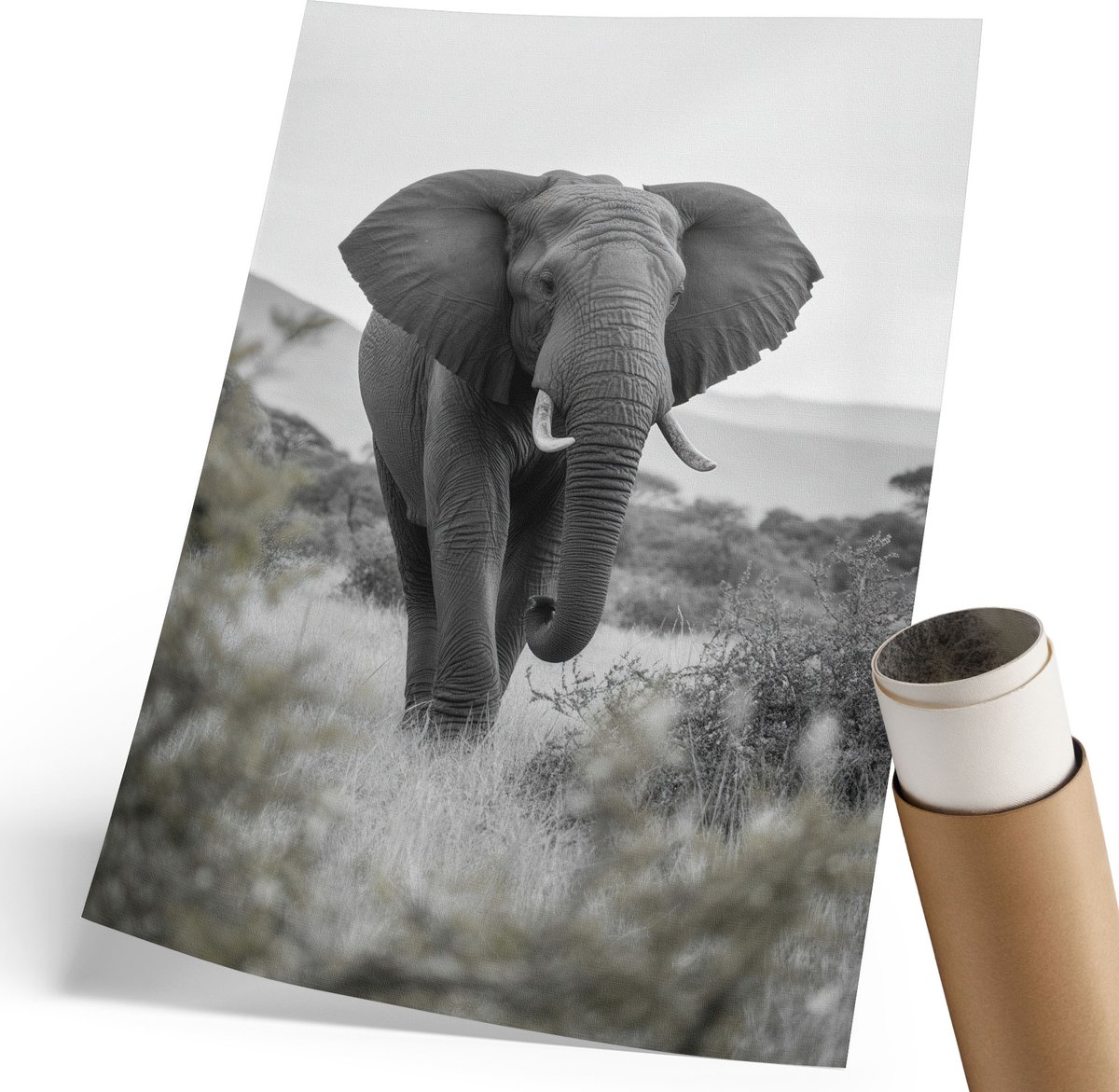 Coloray Polycanvas Poster - Afrikaanse Olifant, Fotografie - 210 x 297 mm - Grijs Illustratie - Rechthoek - Wandkunst - Woonkamer, Slaapkamer, Kantoor - Modern