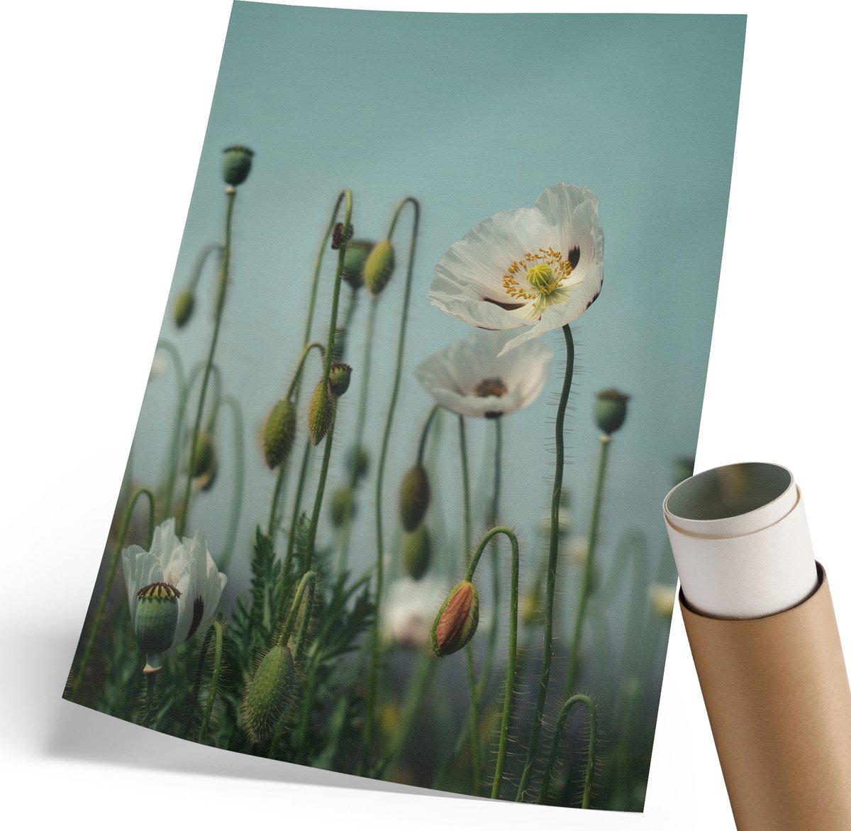 Wallfluent Polycanvas Wandposter - Artistieke Elegantie, Illustratie - 297 x 420 mm - Zwart Patroon - Rechthoek - Wandkunstwerk - Woonkamer, Slaapkamer, Kantoor - Art deco