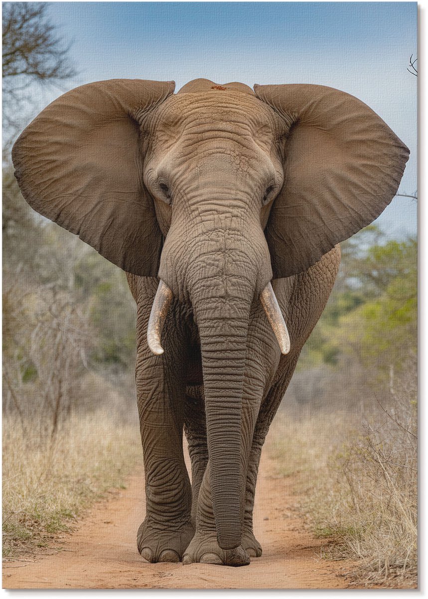 Tulup Polycanvas Wandposter - De Olifant En De Majesteit, Fotografie - A4 - Bruin Decoratie - Rechthoek - Wandkunstwerk - Woonkamer, Slaapkamer, Kantoor - Klassiek