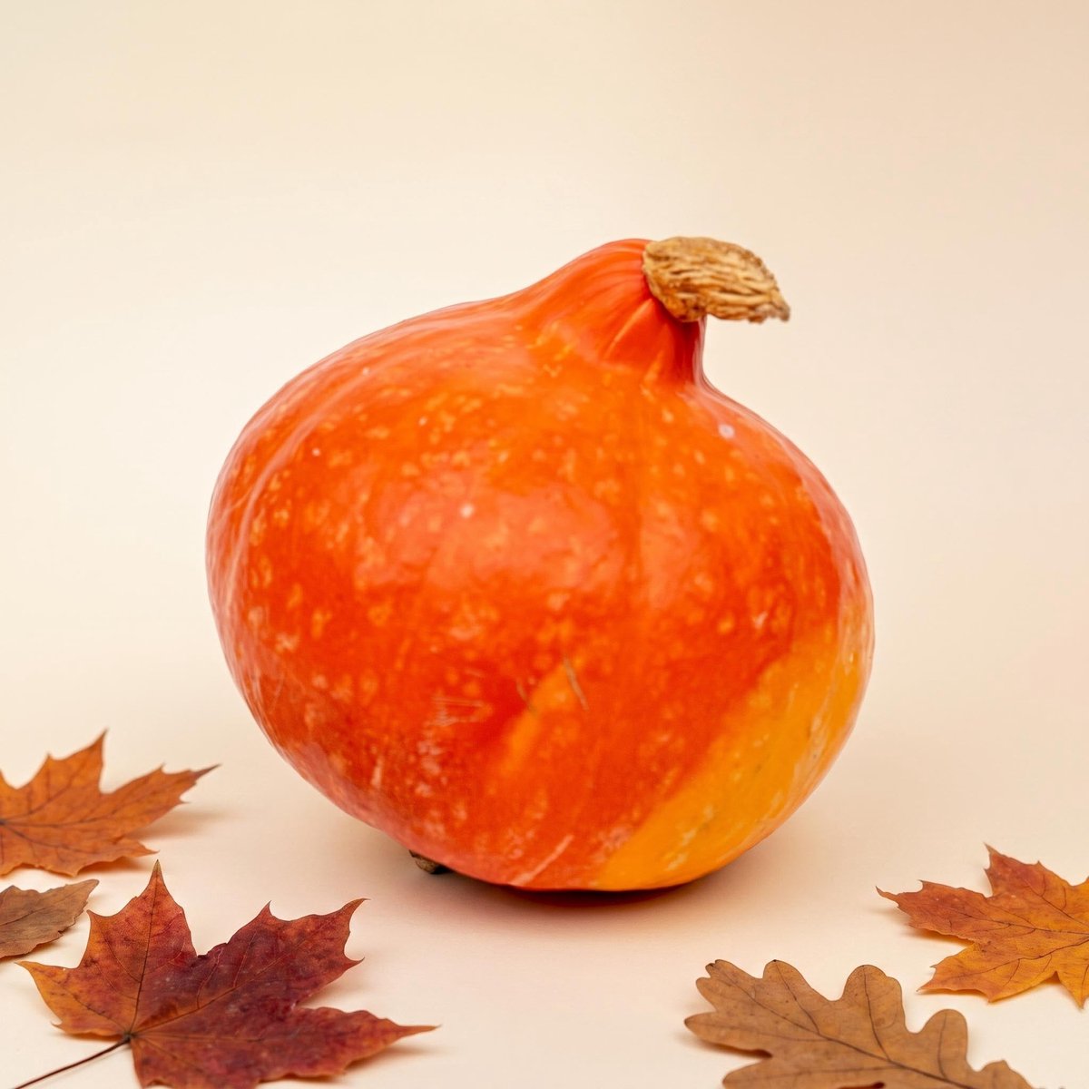 Hokkaido pompoen - Rood/Oranje - Echt - Ø 17 cm - 1,5 kg
