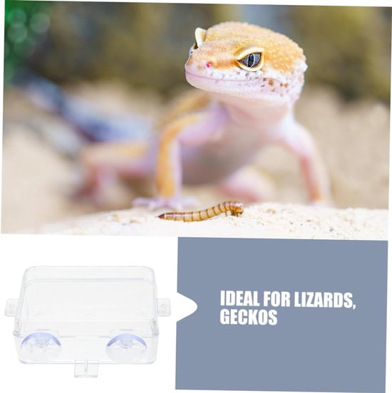 Reptiel Waterbak met Zuignappen Transparante Voedingskom Chameleons Multifunctionele Lizard Tank Ontsnapbestendig Ontwerp Huisdieren — afbeelding 4