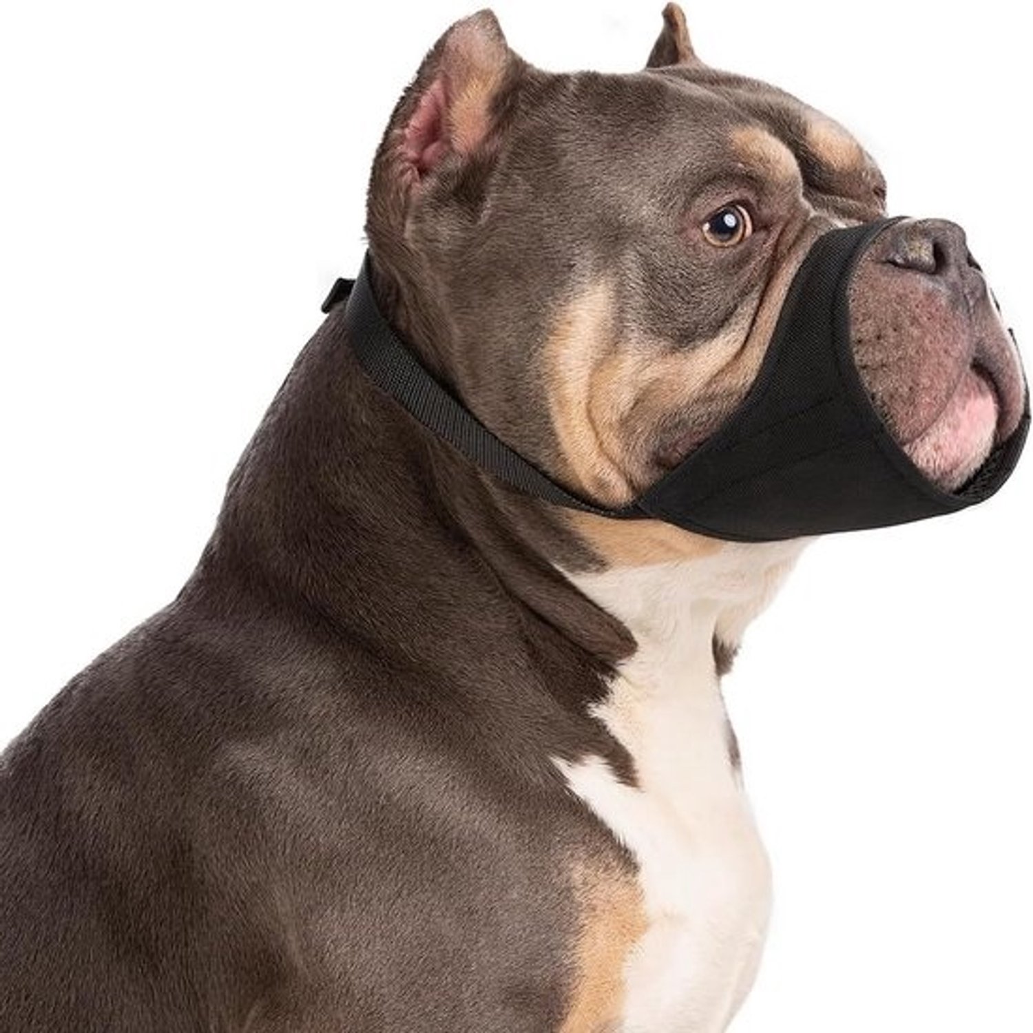 Zachte muilkorf voor kleine en middelgrote honden - anti-blaf en bijtveiligheid | kortsnuit geschikt