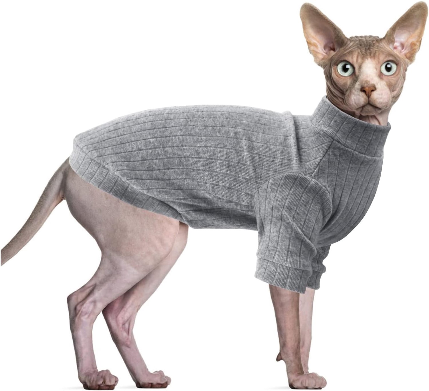 Kleding, haarloos kattenvest rolkraagtrui, kitten/puppy trui-shirt met mouwen, kattenpyjama trui voor Sphynx, Cornish Rex, Devon Rex, Peterbald