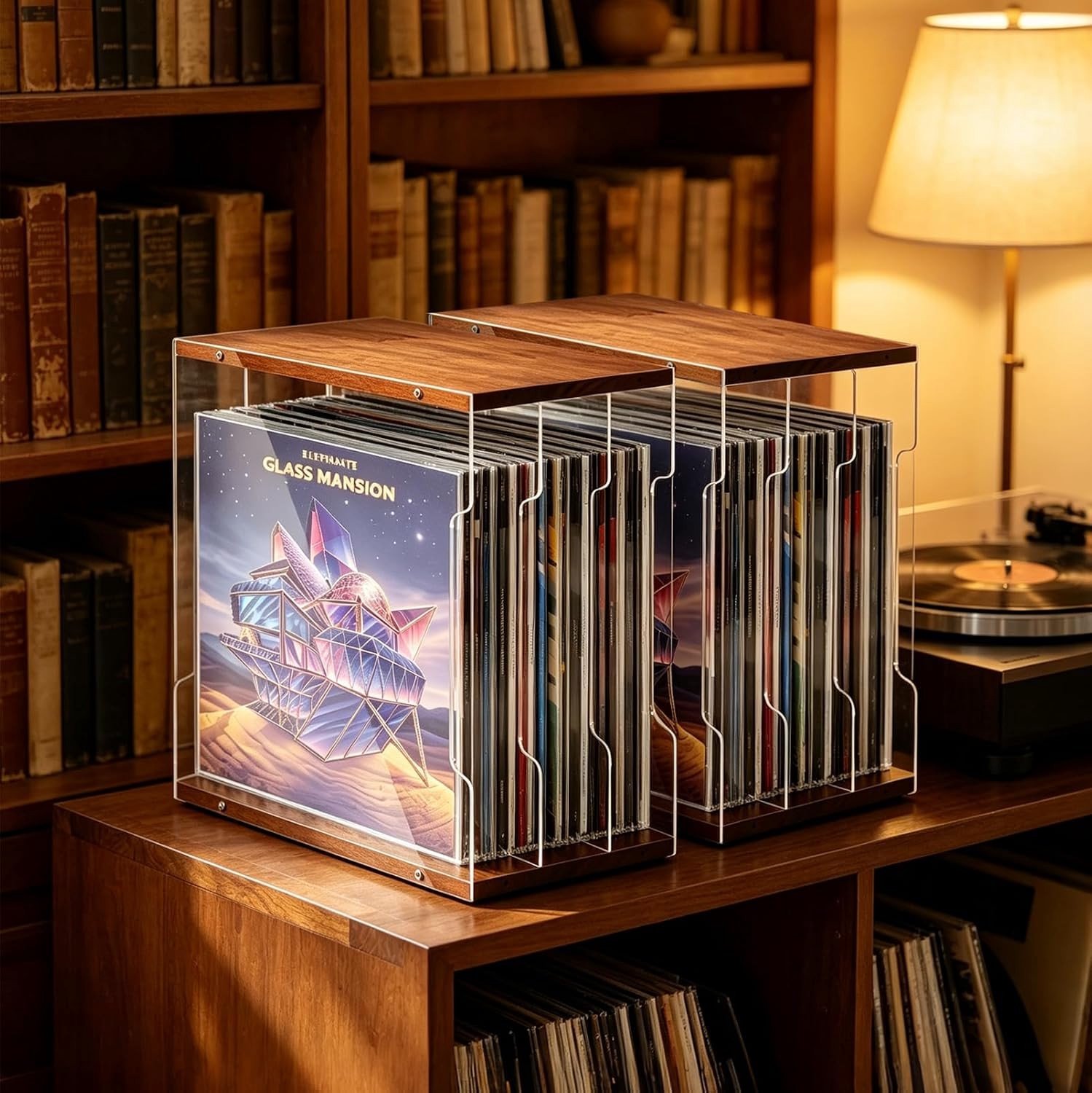 Platenrek - Hout - Geschikt voor 60 vinylplaten - Met Acryl Zijkanten - Voor Muziekkamer en Woonkamer