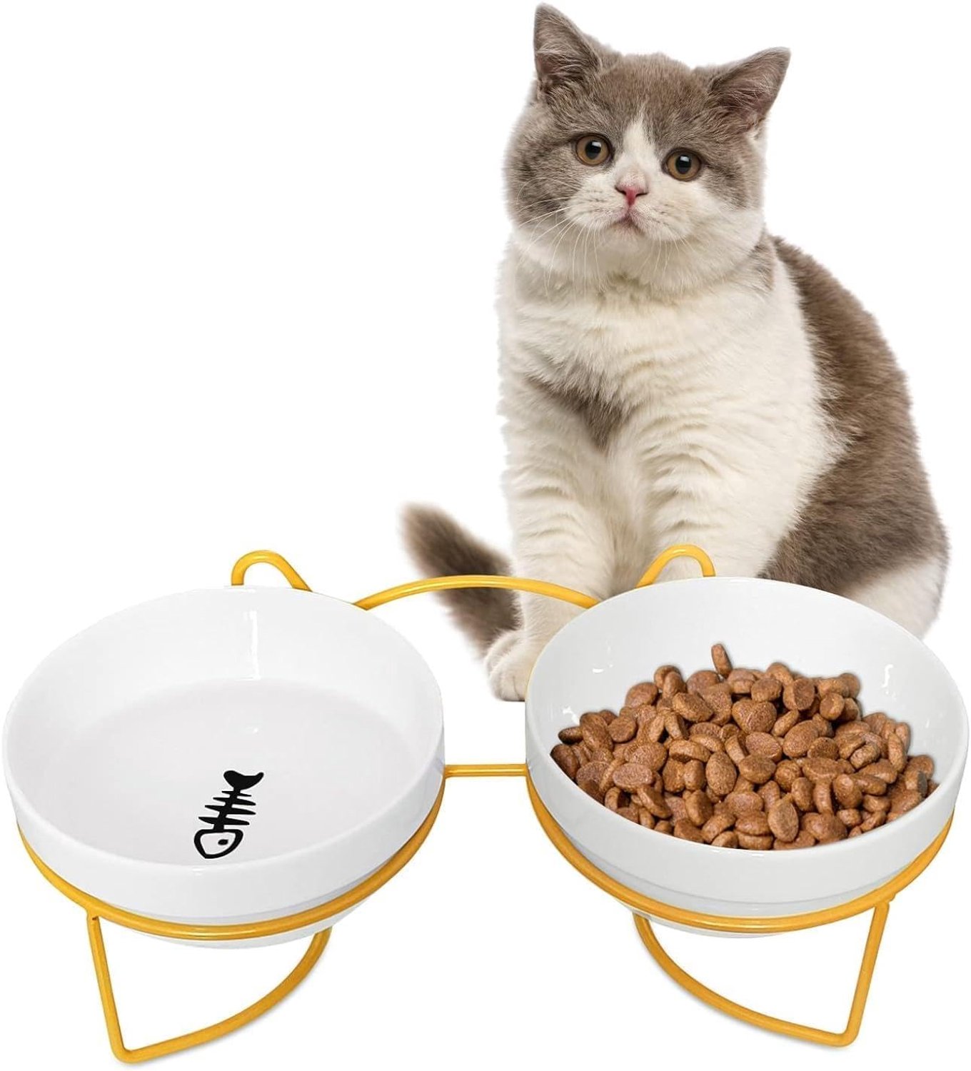 Keramische voerbakset voor katten (2 stuks) – 15° gekantelde kommen met stabiele standaard; afneembaar, vaatwasser- en magnetronbestendig (voor katten, kittens en kleine honden)