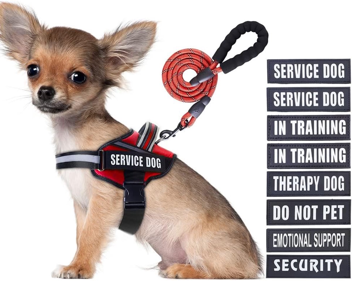 Harnas- en riemset voor geleidehonden in training, met 10 patches, reflecterende hondenriem met zachte gewatteerde handgreep, vest voor kleine, middelgrote, (extra) grote honden (rood, S)