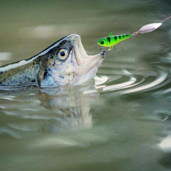 Set van 5 vishaakjes Jig Spinner - 20 g - In een aasdoos - Loodzware kop - Voor baars, snoek, snoekbaars, ree, Spinjig-aas - In een aasdoos - Actief onder UV-licht — afbeelding 3