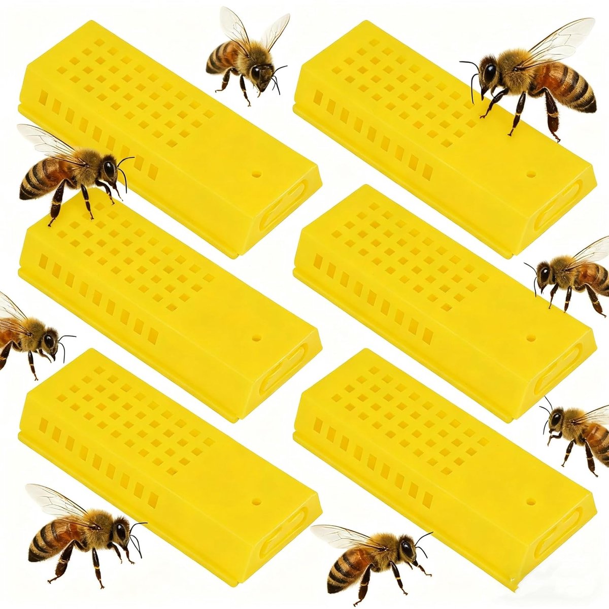 Pack of 6 Queen Bee Cages, Shipping and Extra Beekeeping Cages, Made of High Quality Plastic, Beekeeping Accessories - ShopVlot