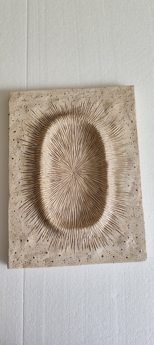 Wanddecoratie Dune rechthoek