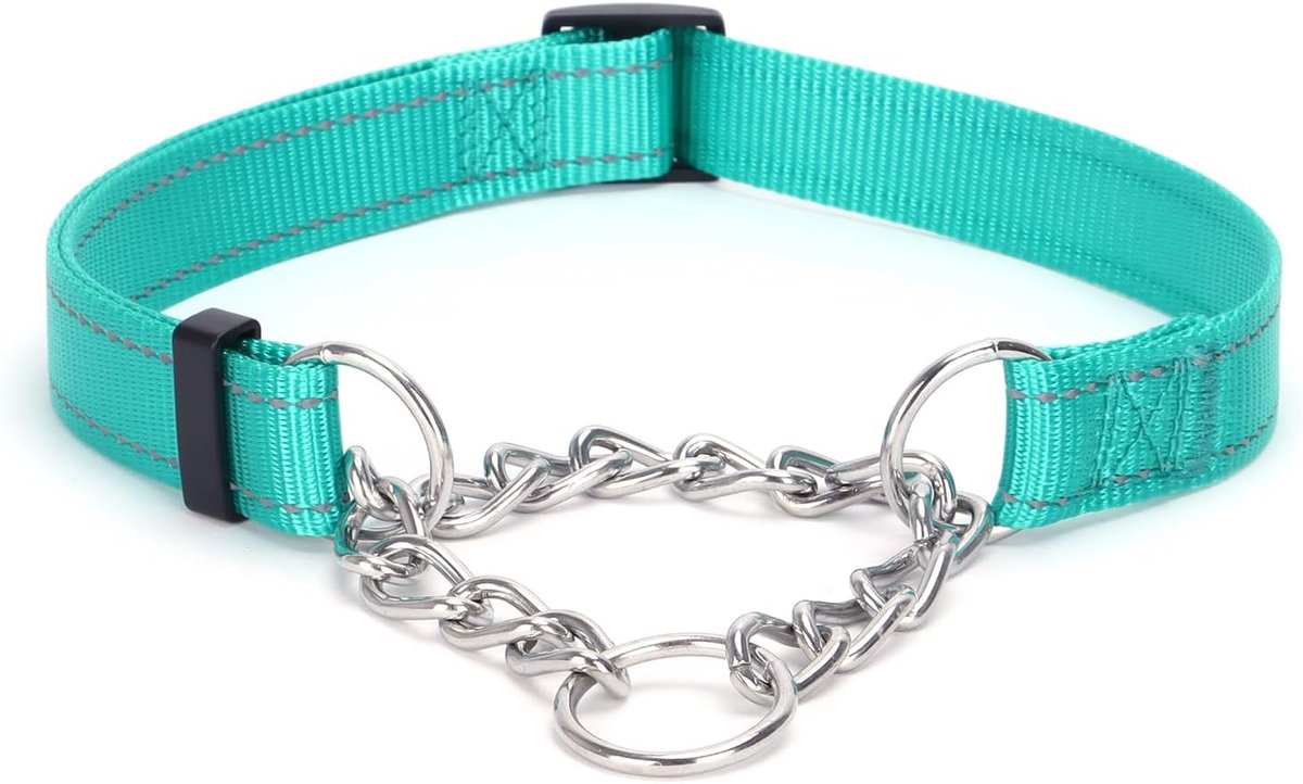 Hondenhalsband, Roestvrijstalen Ketting, Martingale Halsband met Reflecterend, Verstelbaar voor Middelgrote Grote Honden (Turquoise, L)