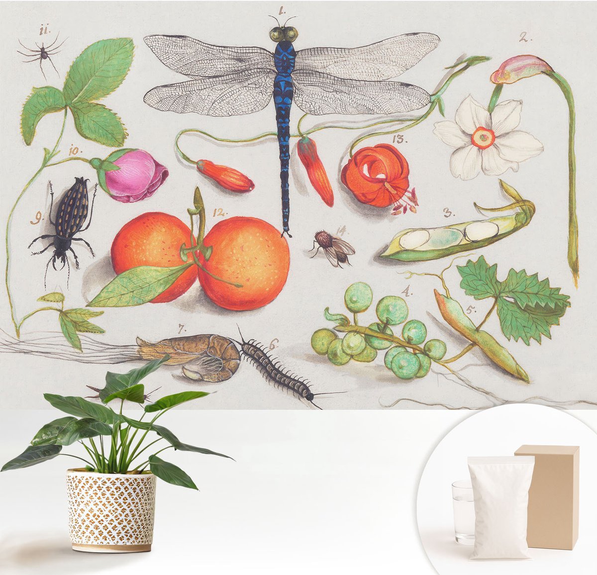Wallfluent Fotobehang - Wit Vliesbehang - 152x104 cm - Natuurillustratie Muurschildering - Slaapkamer behang Bloemen En Planten - Fotobehang Vlies - Slaapkamer behang
