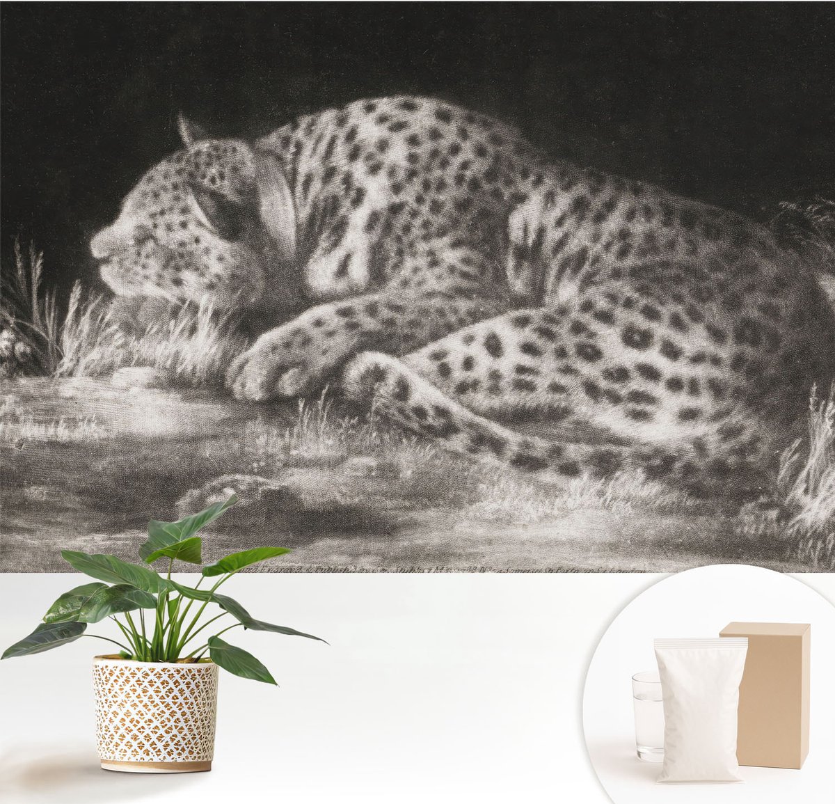 Wallfluent Fotobehang - Zwart-Wit Vliesbehang - 152x104 cm - Luipaard Rustend Muurschildering - Gang behang Dieren - Fotobehang Vlies - Slaapkamer behang