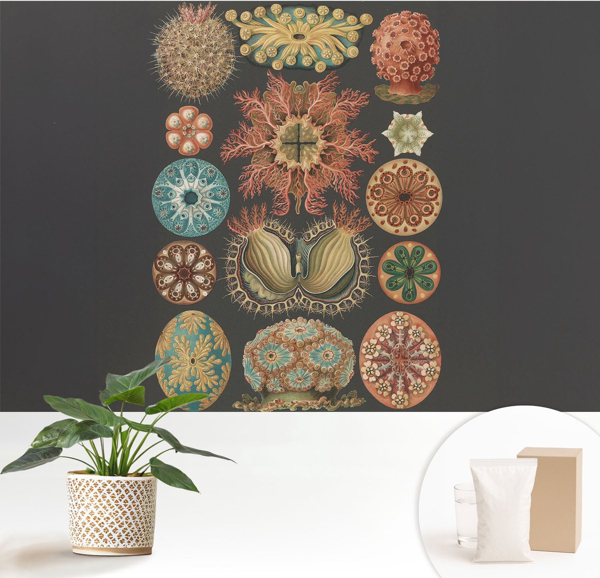 Wallfluent Fotobehang - Zwart Vliesbehang - 152x104 cm - Inspiratie Uit De Zee Fotobehang Vlies - Hal behang Deel - Muurschildering - Woonkamer behang