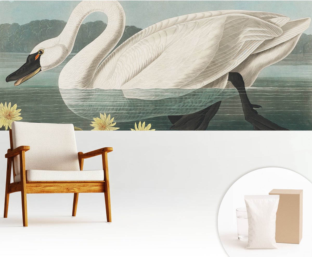 Wallfluent Fotobehang - Wit Vliesbehang - 250x104 cm - Zwaan En Waterlelies Fotobehang Vlies - Hal behang Dieren - Muurschildering - Woonkamer behang