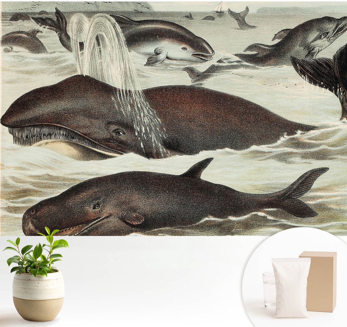 Wallfluent Fotobehang - Bruin Vliesbehang - 104x70 cm - Zeedieren Fotobehang Vlies - Woonkamer behang Dieren - Muurschildering - Hal behang