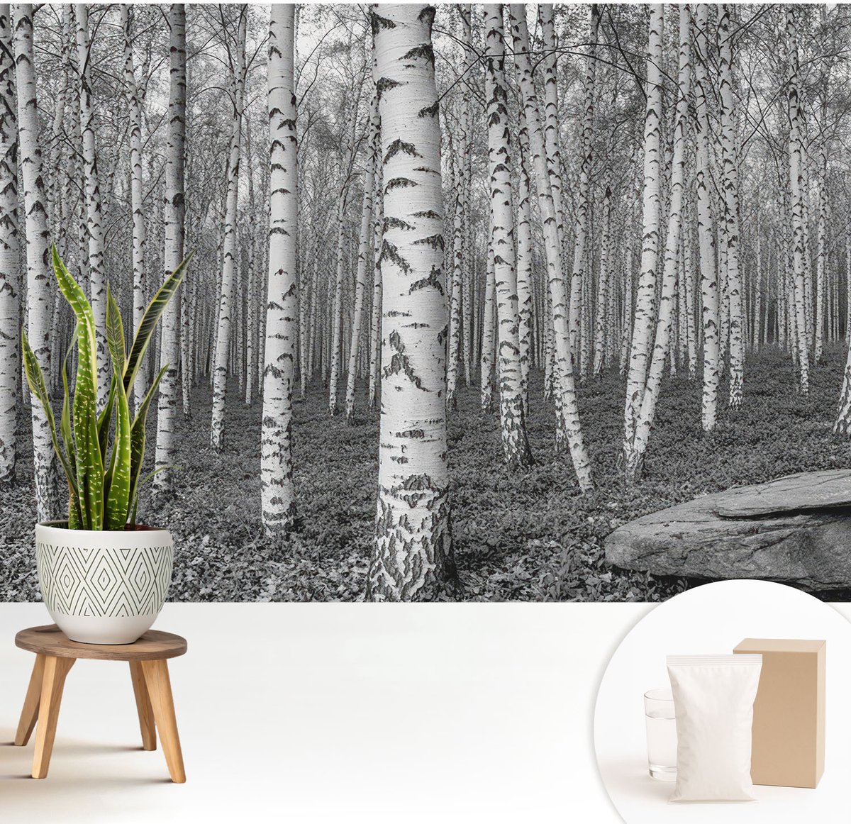 Wallfluent Fotobehang - Zwart-Wit Vliesbehang - 208x146 cm - Berkenbos Muurschildering - Gang behang Bloemen En Planten - Fotobehang Vlies - Slaapkamer behang