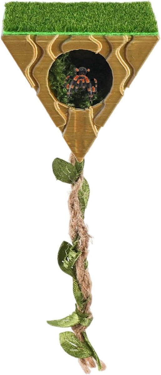 Springspinhuisje - magnetisch ornament voor terrarium