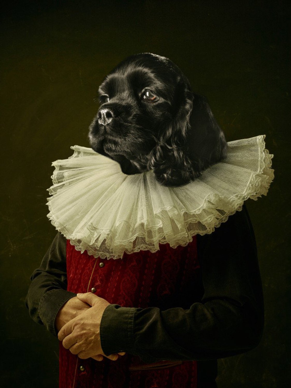 Vgdesign Hond in klassiek kostuum 50x70 cm tuinposter banner VGDesign onbekend