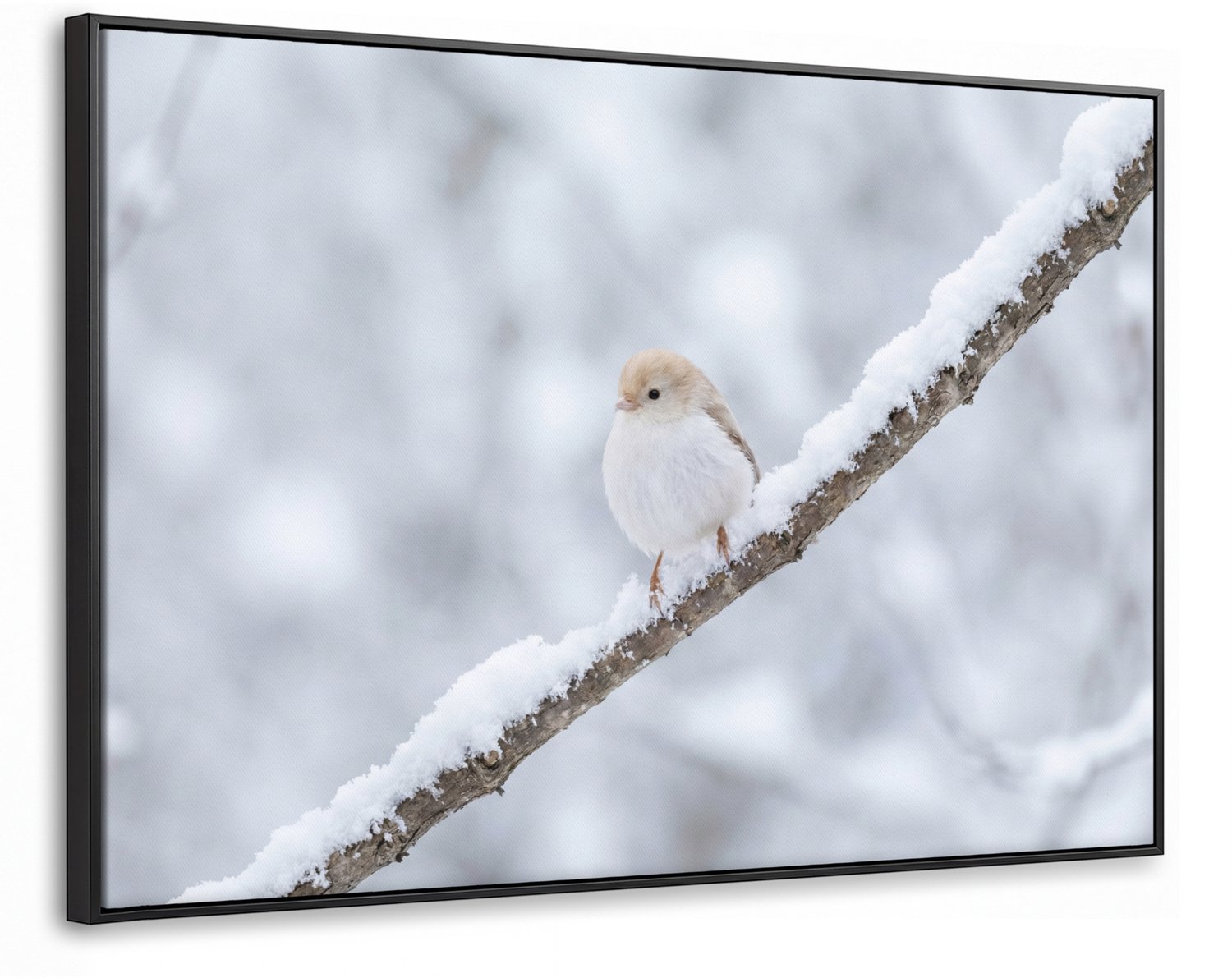 Canvas Schilderij met Baklijst XXL Canvas Schilderij met Baklijst 140x90cm - Vogeltje - Sneeuw - Tak - Winter - Zacht - Muurdecoratie woonkamer - Slaapkamer decoratie - Kamer accessoires - Schilderijen op canvas met lijst groot